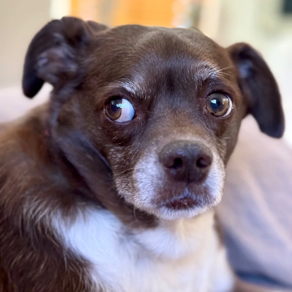 Welcome! - Picture 4 of 7